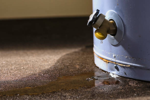 Best Water damage restoration near me  in Avoca, PA