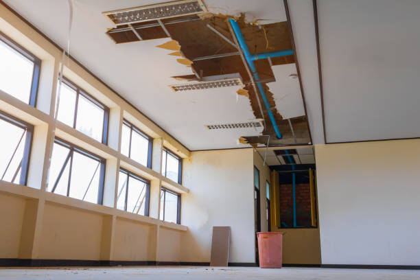Best Residential water damage restoration  in Avoca, PA