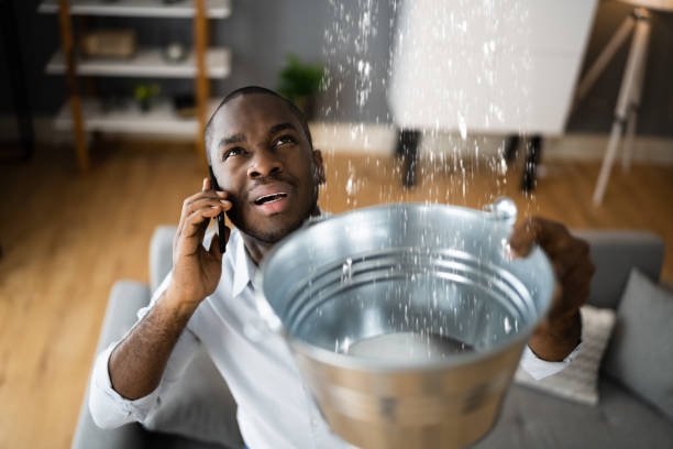 Reliable Avoca, PA Water damage restoration Solutions