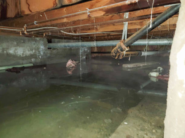 Water damage restoration experts in Avoca, PA