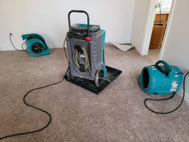 Best Emergency water damage restoration  in Avoca, PA