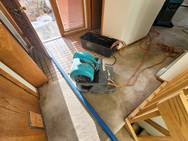 Best Emergency water damage restoration  in Avoca, PA