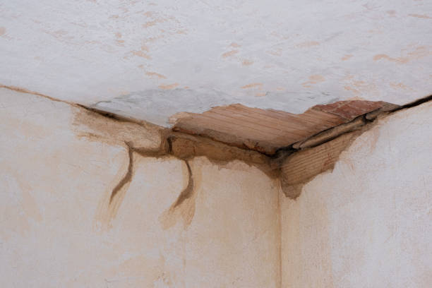 Best Ceiling water damage repair  in Avoca, PA