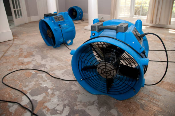 Best Local water damage restoration  in Avoca, PA