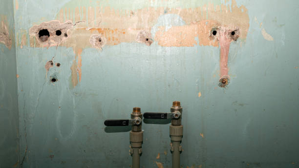 Best Sewage cleanup and water damage restoration  in Avoca, PA