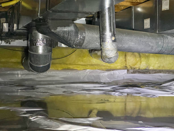 Best Water damage restoration specialists  in Avoca, PA