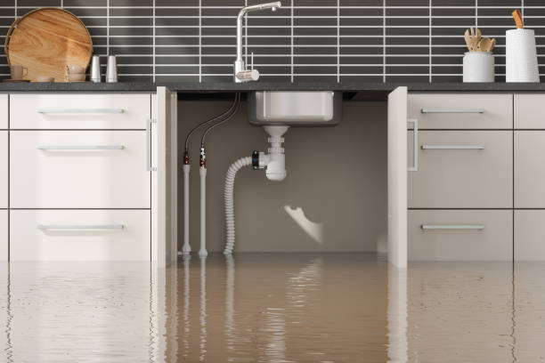 Best Carpet water damage restoration  in Avoca, PA