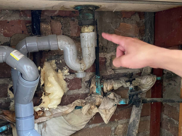 Best Water damage contractors near me  in Avoca, PA