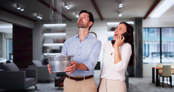 Best Basement water damage restoration  in Avoca, PA