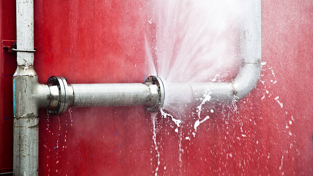 Best Carpet water damage restoration  in Avoca, PA
