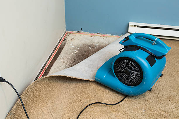  Avoca, PA Water damage restoration Pros