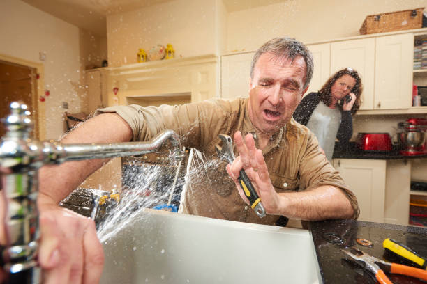 Best Mold removal after water damage  in Avoca, PA